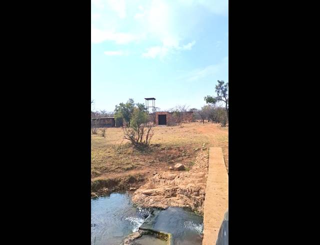 272HA FARM FOR SALE IN KOSTER